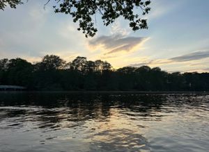 Photo 21- click for photo gallery